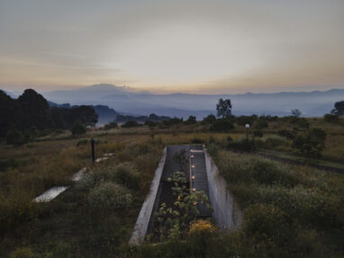 aguacates_dji_0141