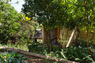 01_Casa_Nidos