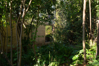 03_Casa_Nidos