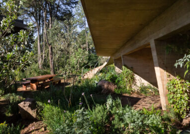 15_Casa_Nidos