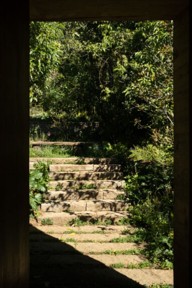 17_Casa_Nidos