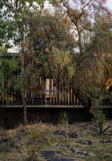 Alta_ Anahuacalli_1C0A7133