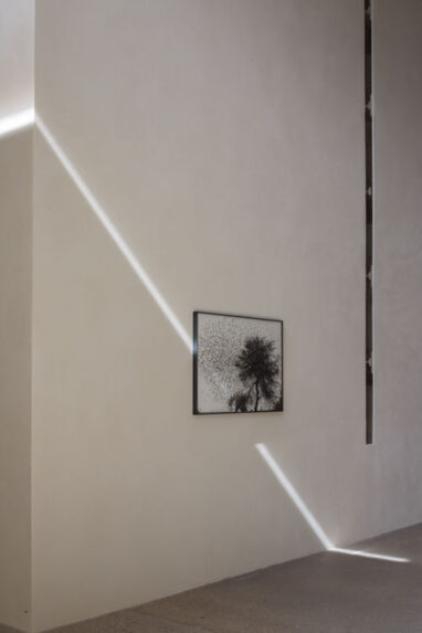20_Alta_Fondation_Cartier_2123