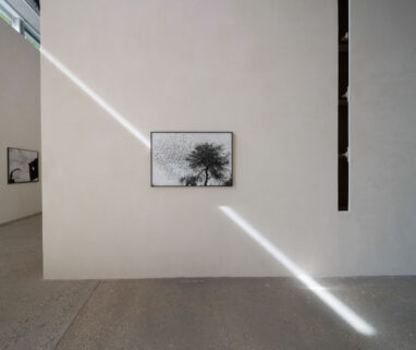 21_Alta_Fondation_Cartier_2129_34