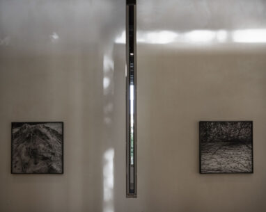 22_Alta_Fondation_Cartier_2149_55_56
