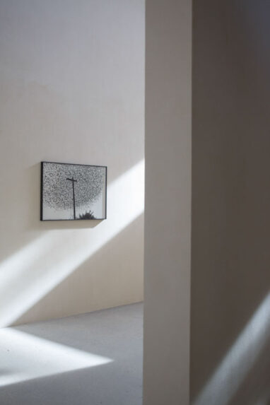25_Alta_Fondation_Cartier_2401