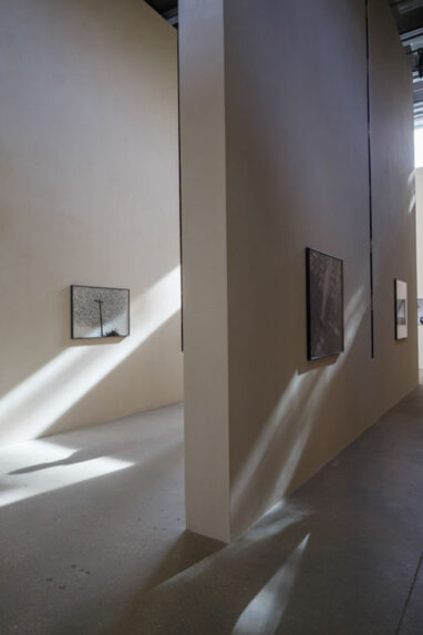 26_Alta_Fondation_Cartier_2408