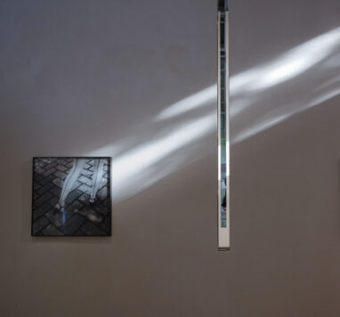 29_Alta_Fondation_Cartier_2495_2500