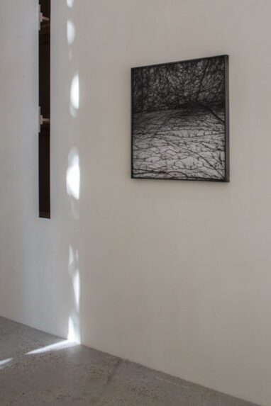 34_Alta_Fondation_Cartier_3417