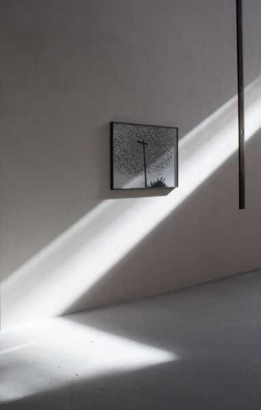 37_Alta_Fondation_Cartier_3503