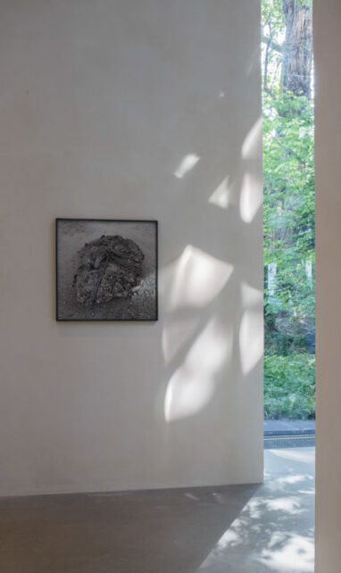 45_Alta_Fondation_Cartier_4101_07
