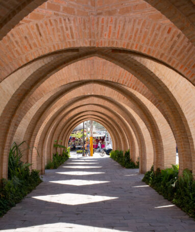 Jardines_Centrales_Jojutla_293A2994