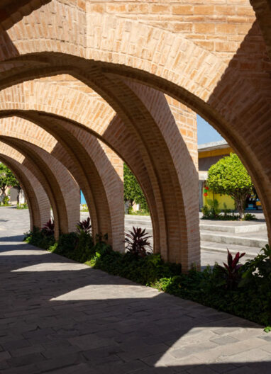 Jardines_Centrales_Jojutla_293A3174