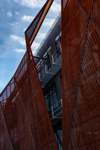 high_CAT_liverpool_morelia_2651